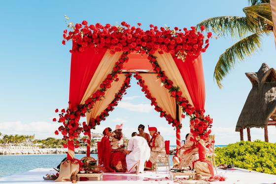 Rose mandap against palms and open sky