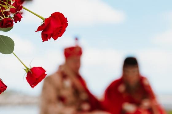 Red rose sharp in the foreground, ceremony soft behind