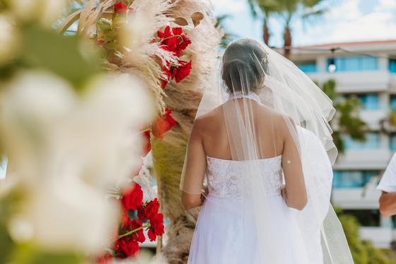 Bride from behind, veil against the pampas arch