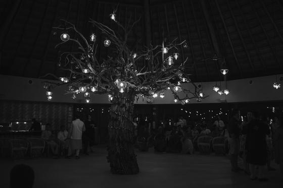 Black and white frame of the lit tree over the sangeet floor