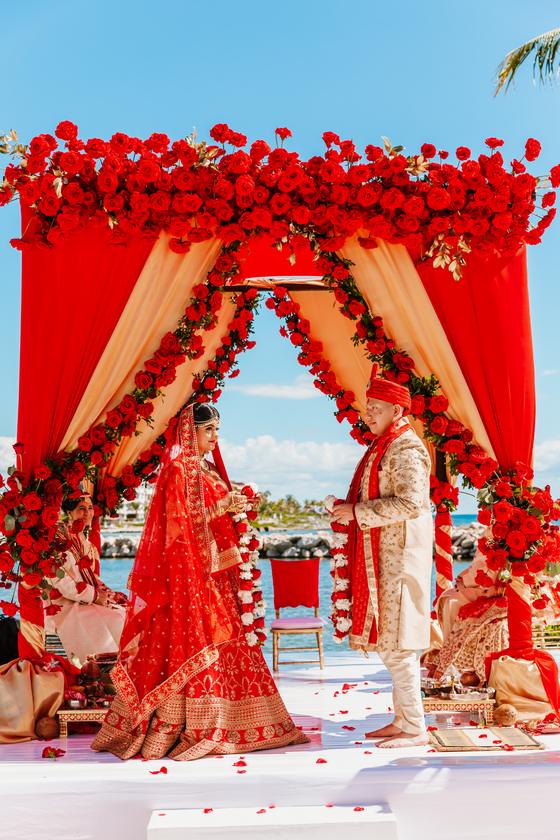 The rose mandap seen across the sand