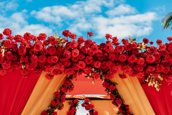 Red rose garland along the mandap frame against the sky